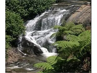 Hotel Silver Falls - Nuwara Eliya