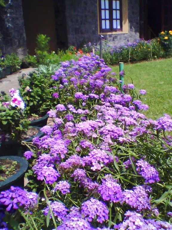 Hotel Silver Falls - Nuwara Eliya